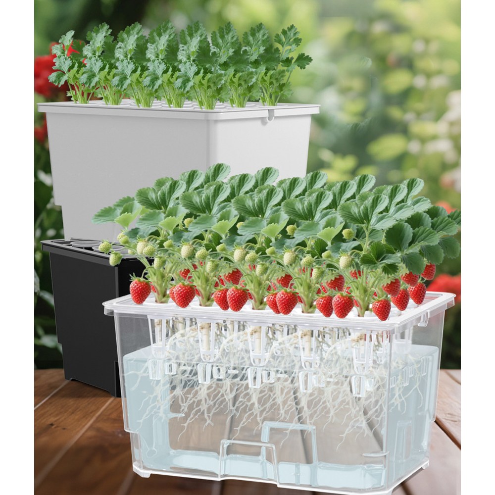 MMC 식물 수경재배 키트 가정용 식물 재배기 15구, 1개 24,800원