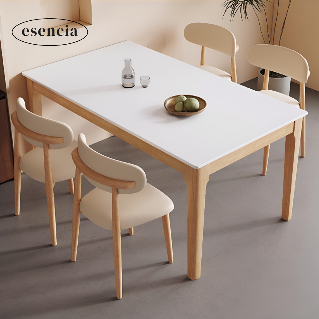 이센시아 모던 4인용식탁 6인용식탁 식탁의자세트 가정용 500,000원