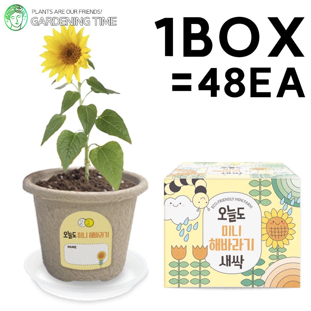 오늘도 새싹 - 지피포트 미니해바라기 48개입 1박스 / 대량 학습 꽃 모종 원예체험 식물 화분기르기 124,500원