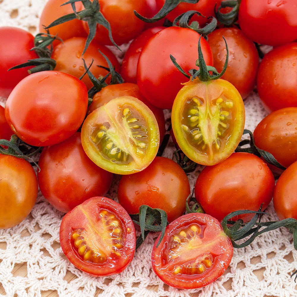 [오늘의 토마토] 망고향 고당도 스테비아 대추방울토마토 당도보장 프리미엄 과일토마토, 1개, 2kg 19,900원