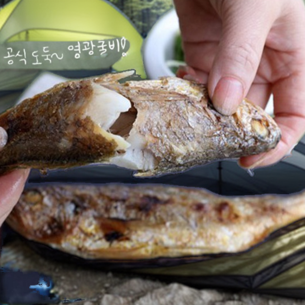 명품 법성포 영광굴비 20미 40미 국내산 100% 실속형 굴비 산지직송 설 추석 명절 선물세트 65,000원