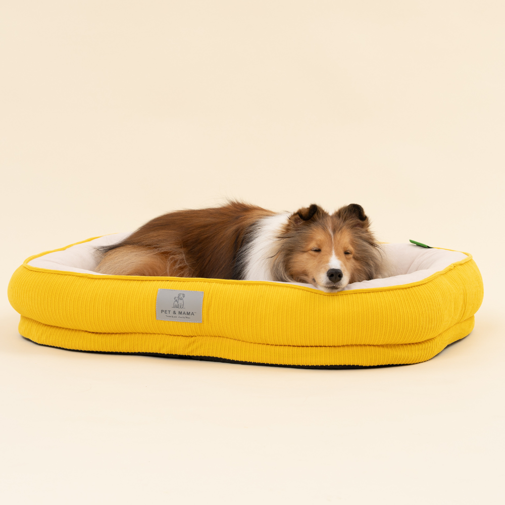 홀릭하임 슬개골 보호 강아지 폼 방석 노령견 극세사 쿠션 분리세탁, 1개, Deep옐로우 19,900원