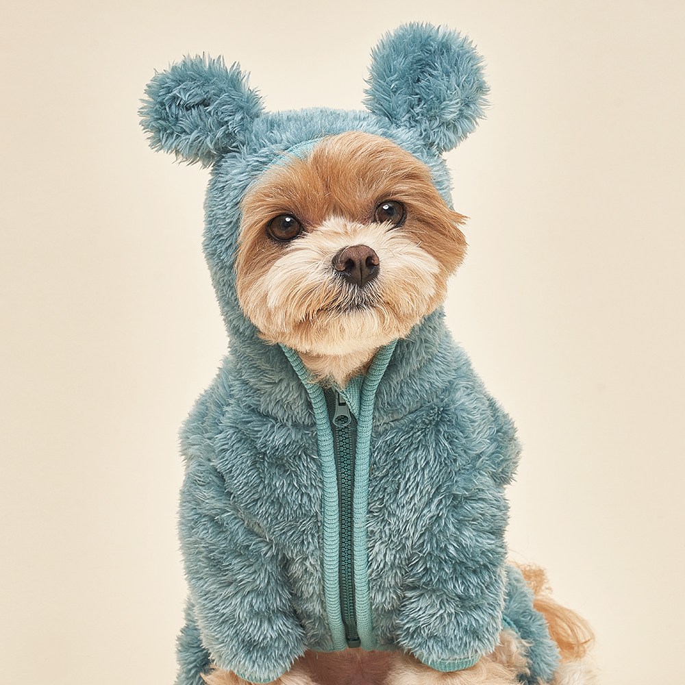 도그아이 반려동물 곰후드 올인원 13,900원