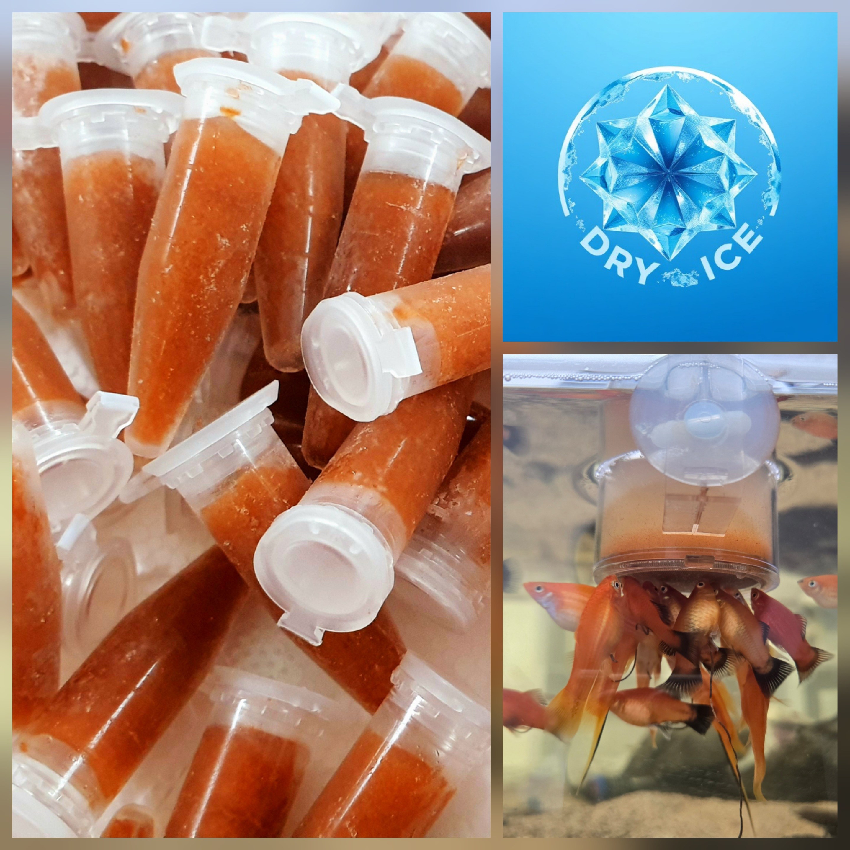 브라인쉬림프 튜브 80개 1세트+브라인급여통1개(특허등록 영양강화 브라인슈림프 부화 냉브) 26,100원