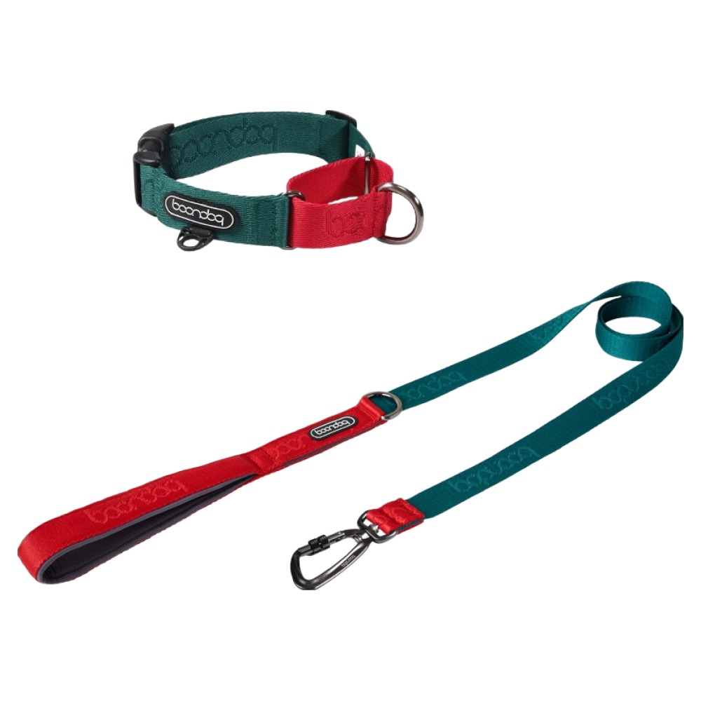 분독 강아지 카라비너 오리지널 리쉬 1.4m + 마틴게일 목줄 세트 66,000원