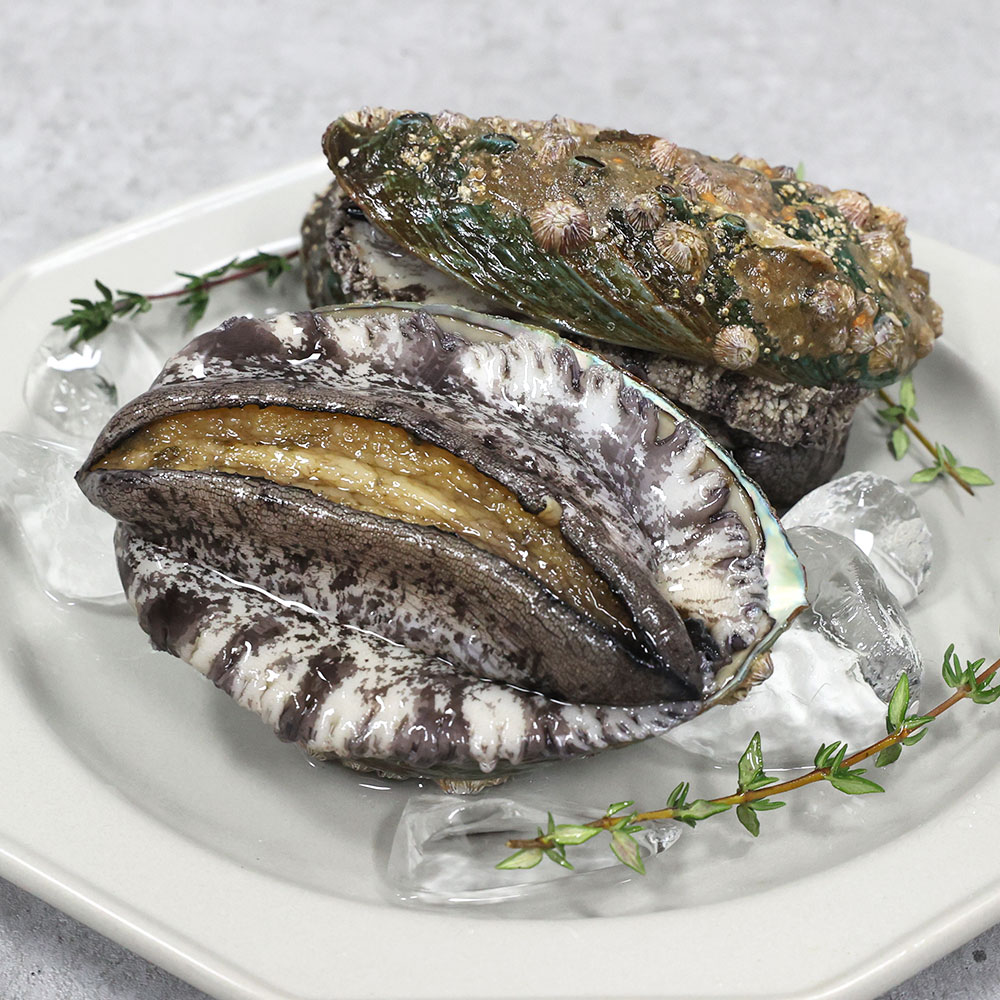 완도전복마을 큰전복 1kg 32,900원