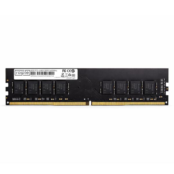 ROIPLE DDR5 PC5-44800 [8GB] (5600), 1개, DDR5_8G_5600_DIMM 179,000원