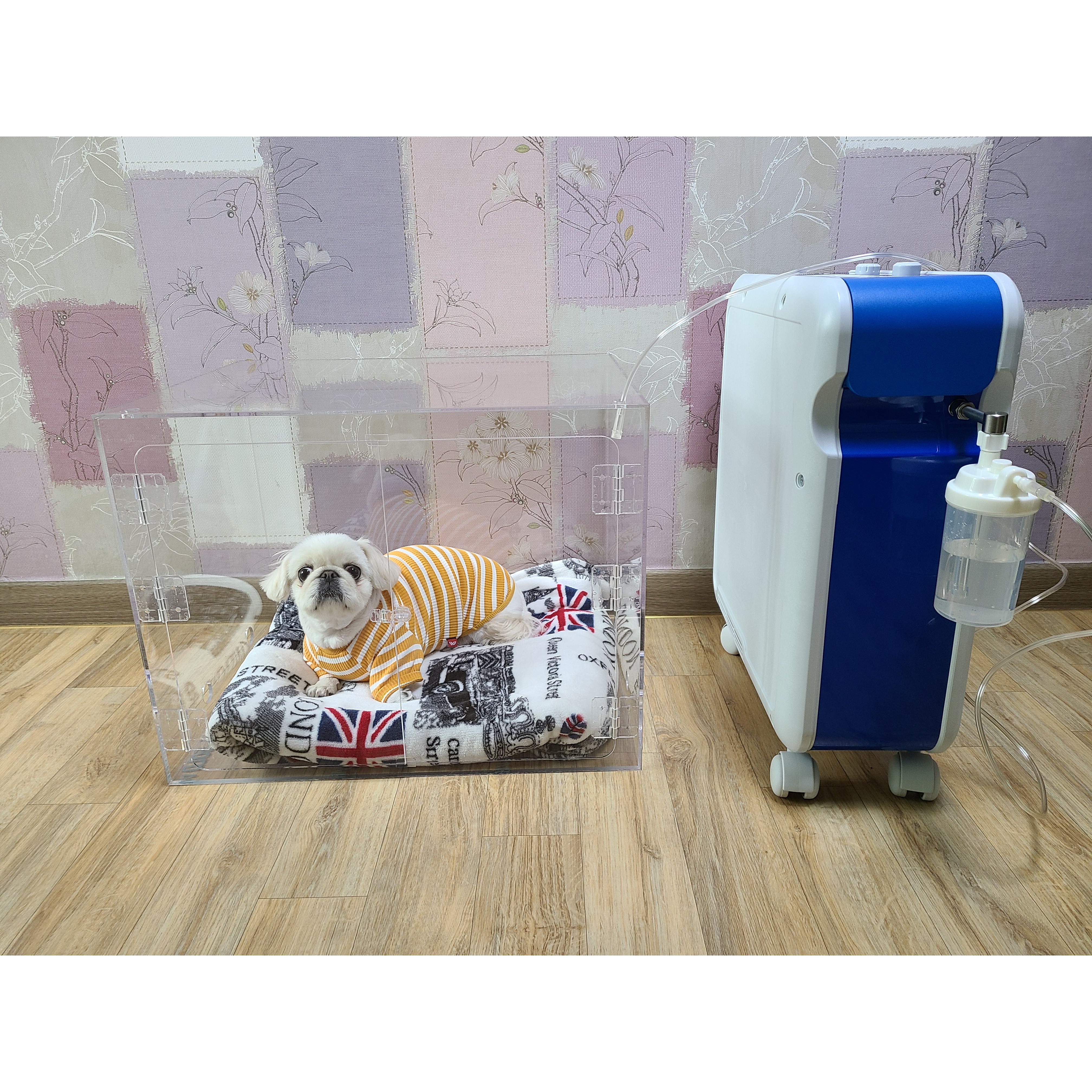 닥터펫(임대)  반려동물산소방 양문형 크로버4,0독일산최신형, 저소음, 디지털방식+아크릴산소방 마스크무상대여, 장기대여 140,000원