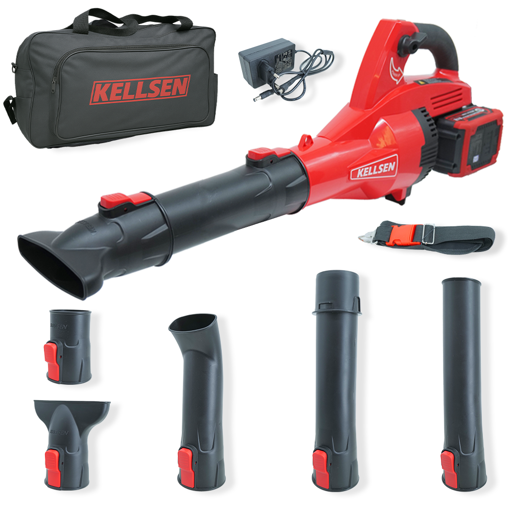 디케이켈슨 42V 대포 송풍기 + 4000mAh 배터리 2p 세트 ES-V3613, 1개 198,990원