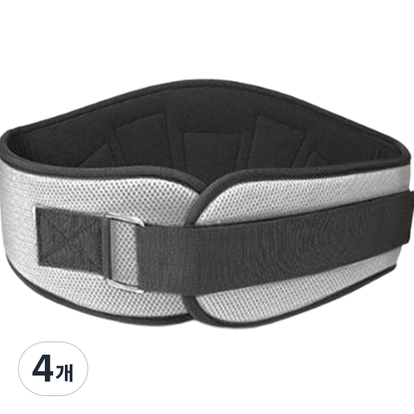 앞날창창 파워 허리보호 리프팅 벨트, 4개, 실버 52,760원