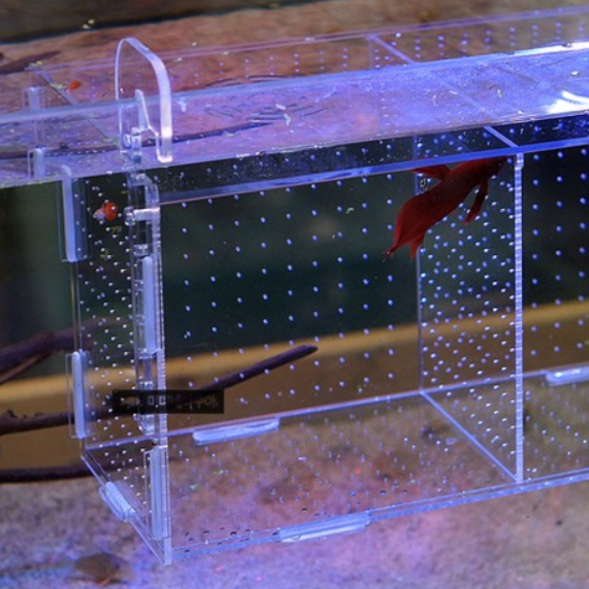 미미네아쿠아 new 중형 아크릴격리박스 걸이식 (20 x 15 x 15cm) 16,500원