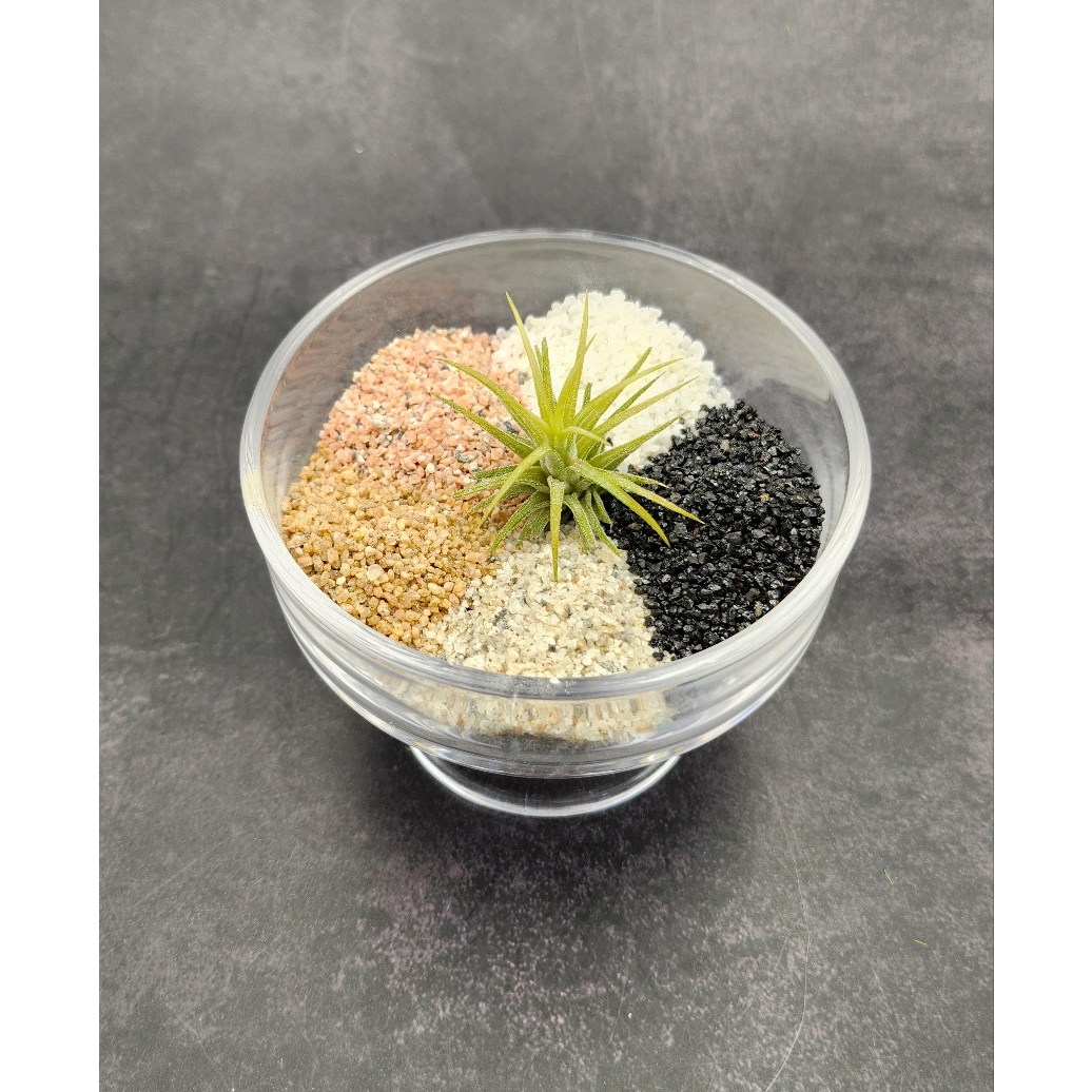 테라리움 장식 모래 5종 1kg 택1 포장 어항바닥 원예조경 홈가드닝 재료 3,500원