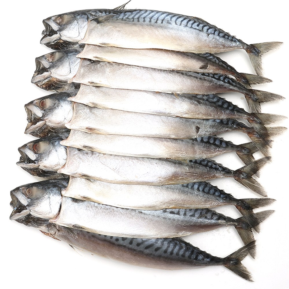 자갈치닷컴 노르웨이 간고등어(대자) 34cm전후 40마리 고등어 194,000원