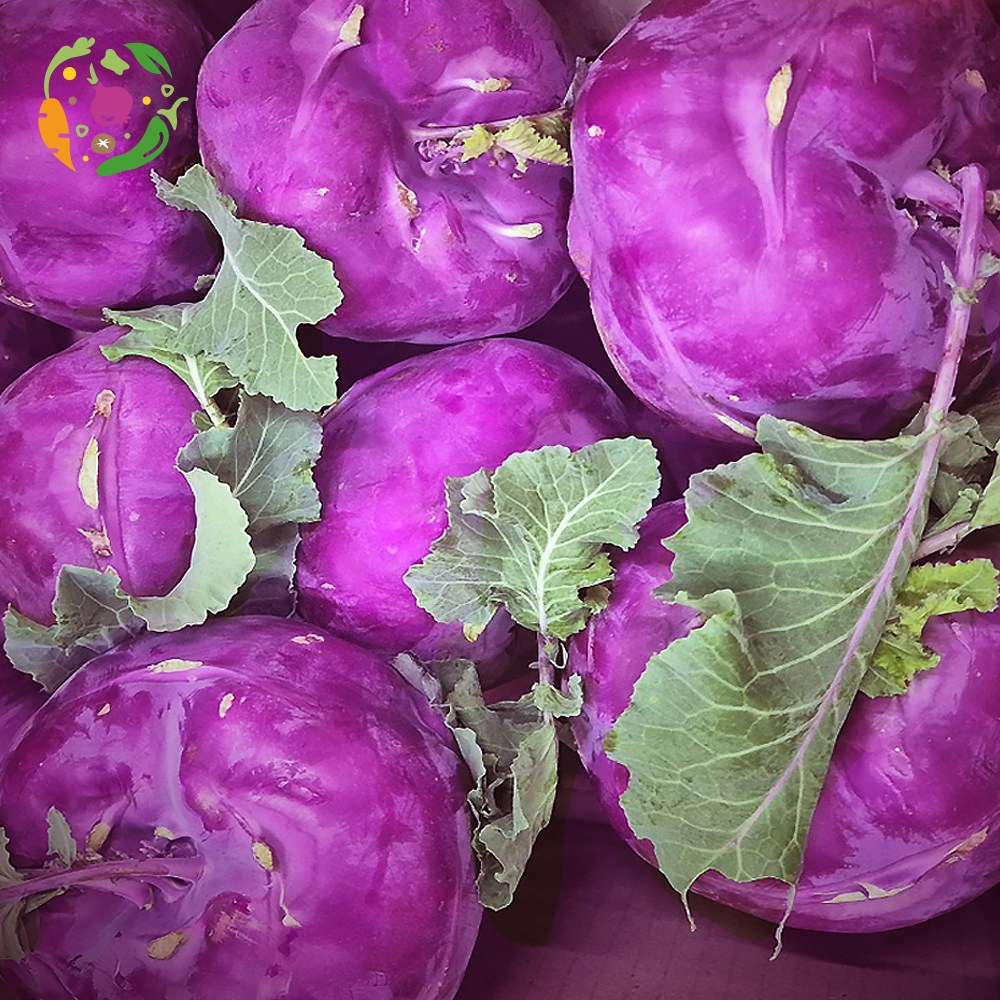 대아프레시 야채 아저씨네 2025년 시원하고 아삭아삭한 제주 콜라비 2kg 3kg 4kg 5kg 10kg 15kg, 15kg, 1박스 56,000원