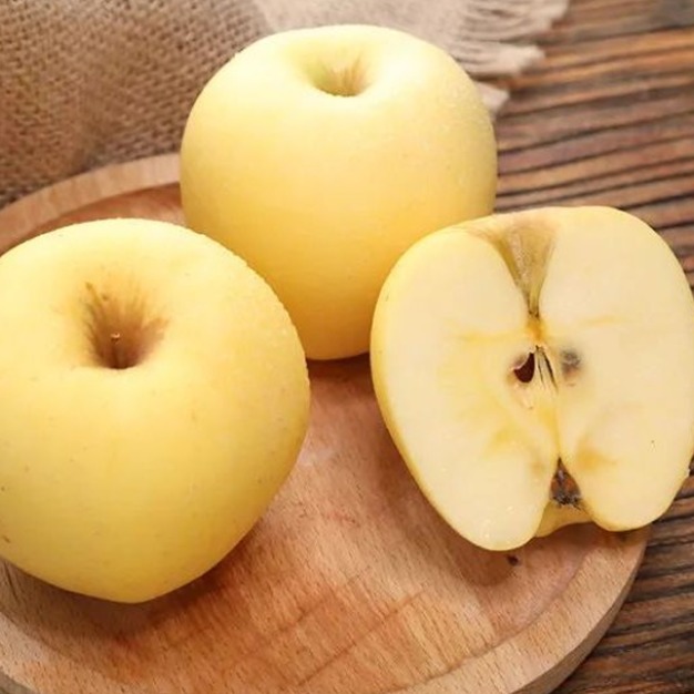 [최대할인]경북직송 BEST 과즙줄줄 가정용 시나노골드사과, 1박스, 5kg 29,900원