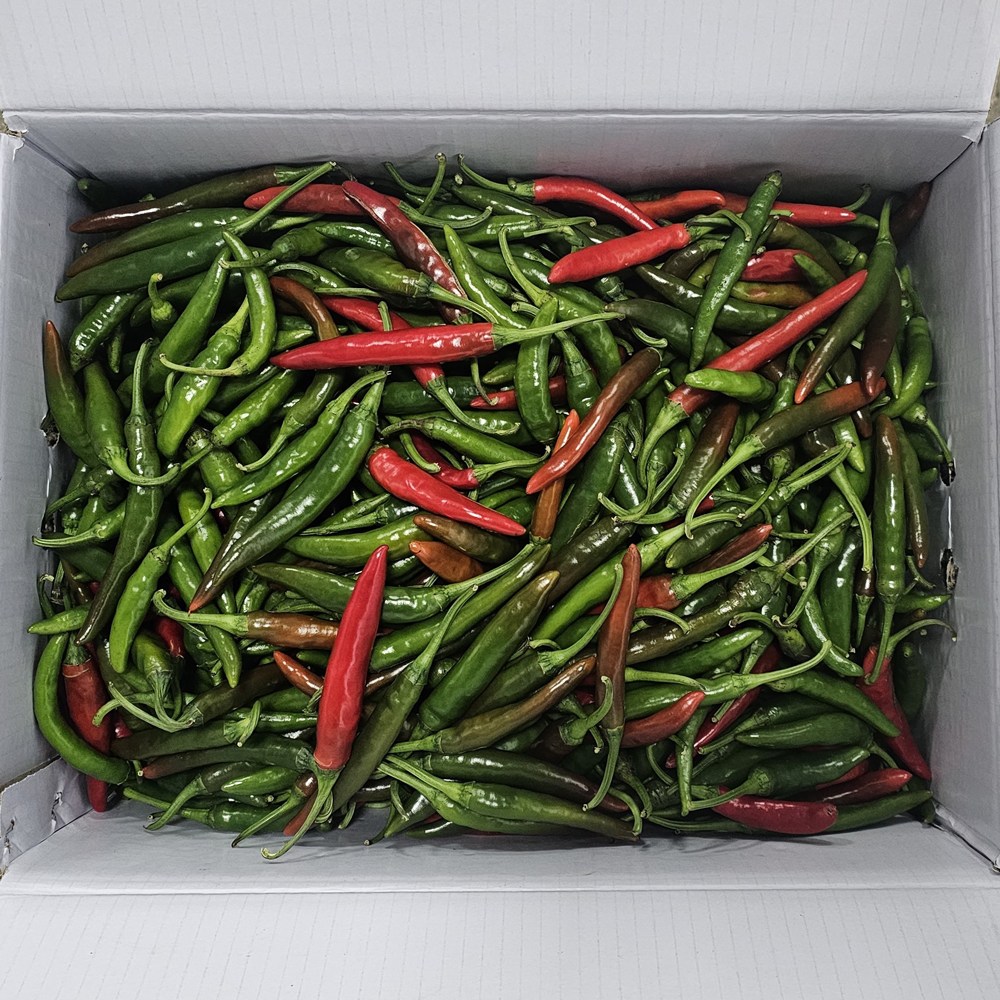 클릭마켓 국내산 반홍 청양고추 청량고추 12,800원