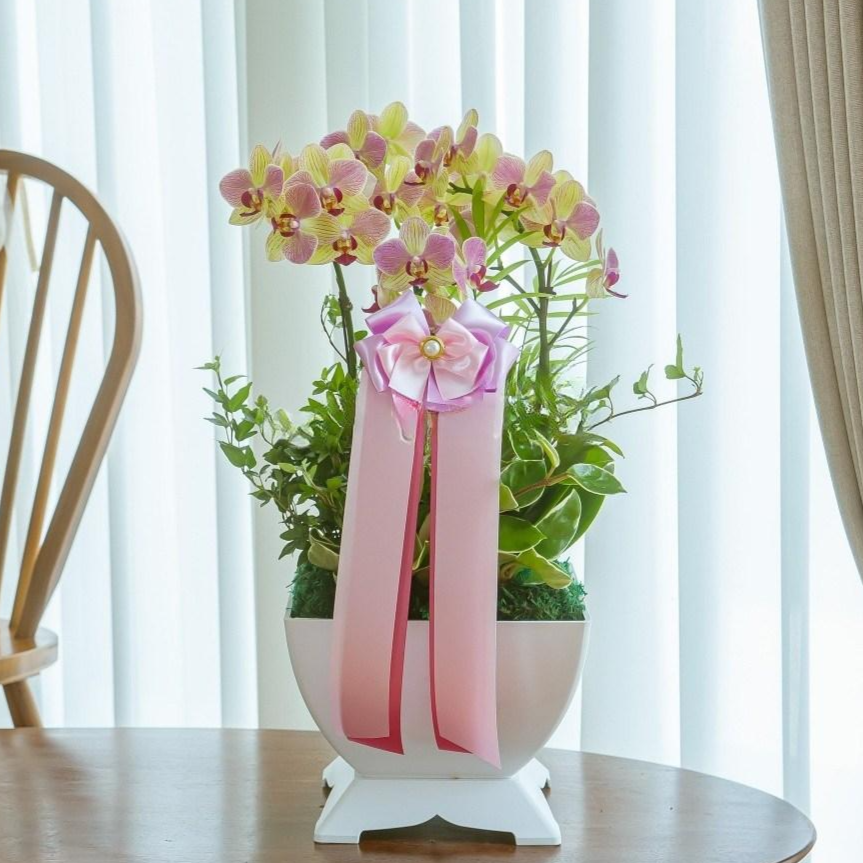 나눔플라워 전국 저가 서양란 취임 진급 승진 개업 승진란 개업란 진급란 축하 꽃배달서비스 당일꽃배달, 1개 84,000원