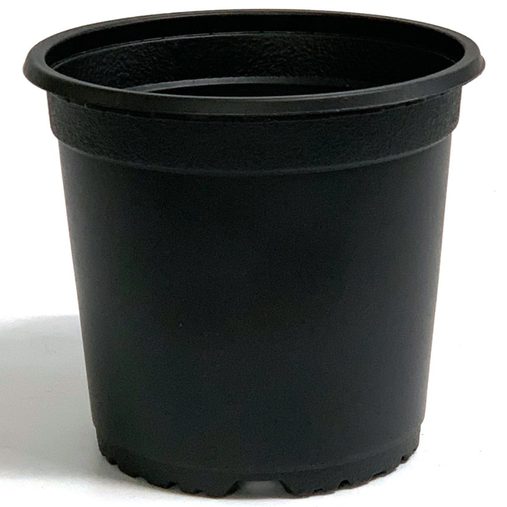 이색포트 150(검정) 비닐포트 플라스틱화분 모종, 1개 180,000원