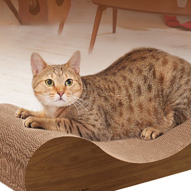 가리가리 소파 스크래쳐, 다크브라운, 1개 13,800원