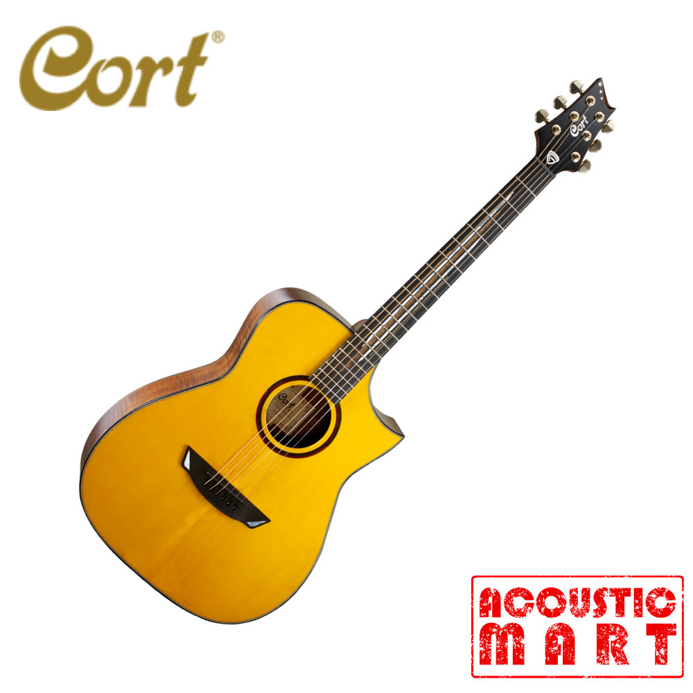 콜트 통기타 CORT FRANK GAMBALE LUXE 990,000원