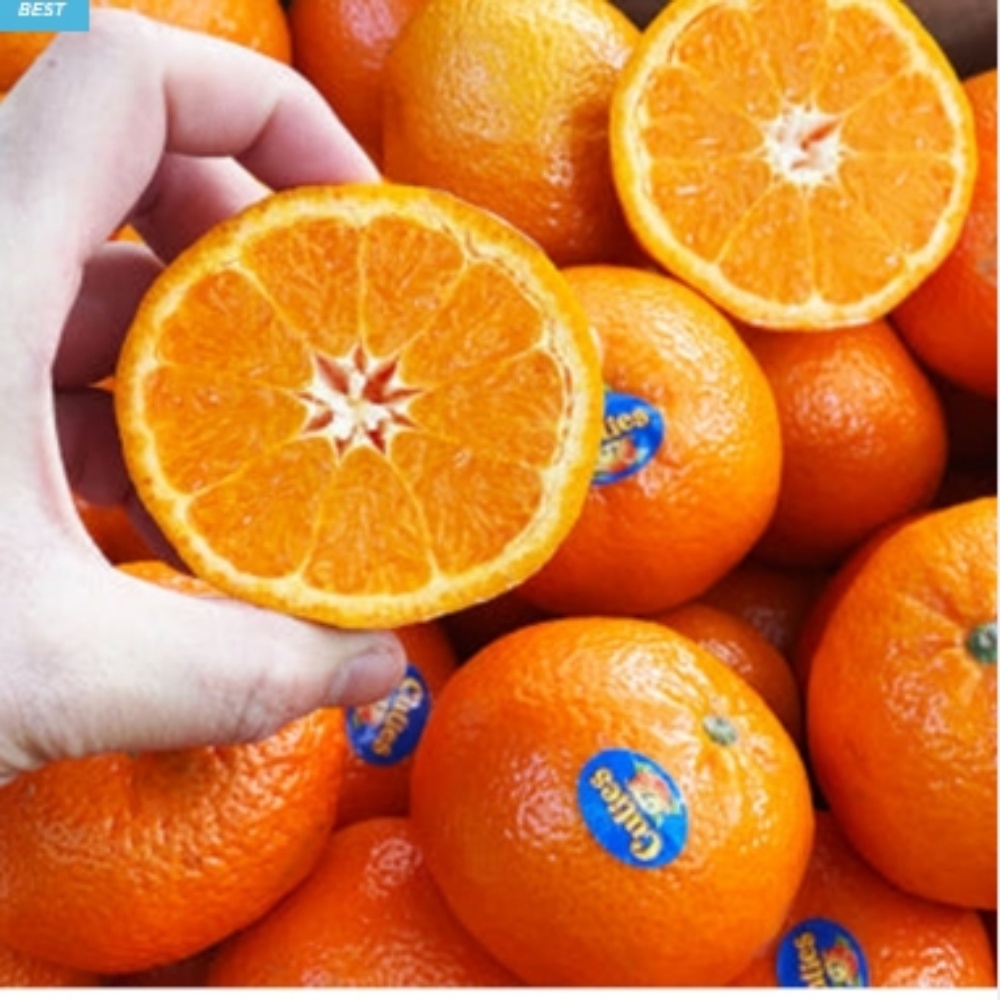 [당도선별] 미국산 고당도 큐티 만다린 감귤 2kg, 1박스, 만다린 특품(20~30과) 2kg 22,500원