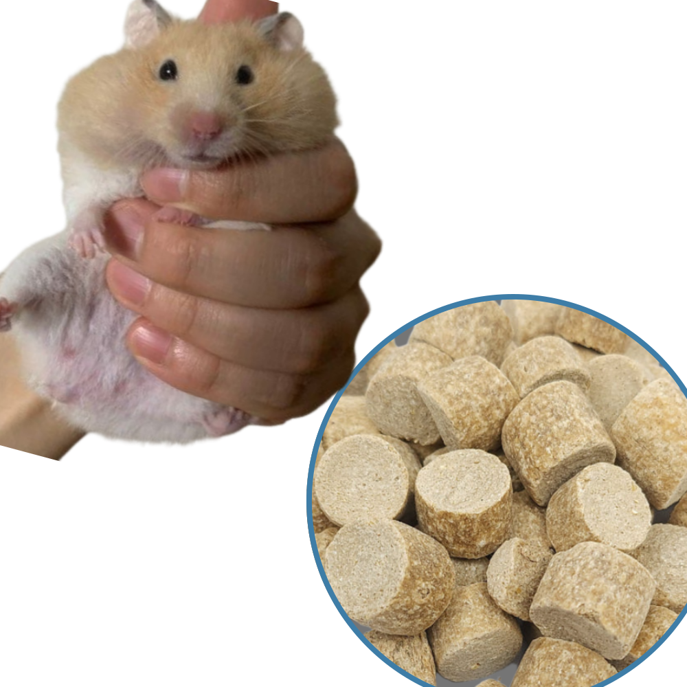 햄스터 간식 퓨리나 익스 5,750원