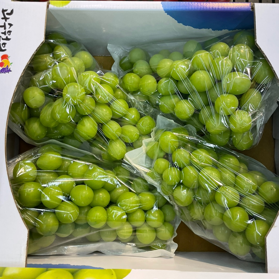 사과식감 프리미엄 고당도 샤인머스켓 13,900원