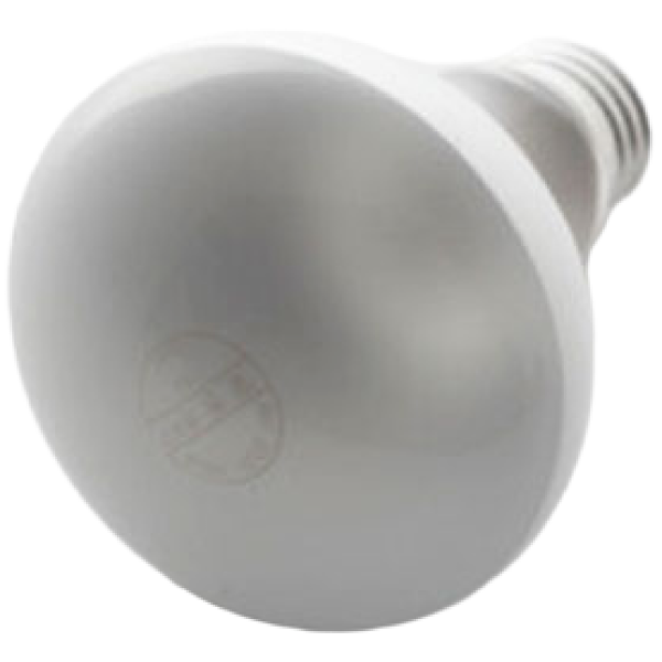 일광 반사구 60W 파충류 스팟조명 열전구 발열전구 히팅램프, 기타색, 1개, 현재가 3,000원