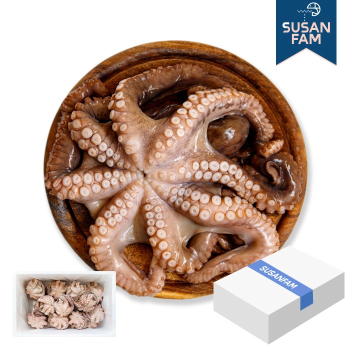 세척문어 문어홀클린 10kg 모리타니아 박스 냉동 손질문어 돌문어 238,000원