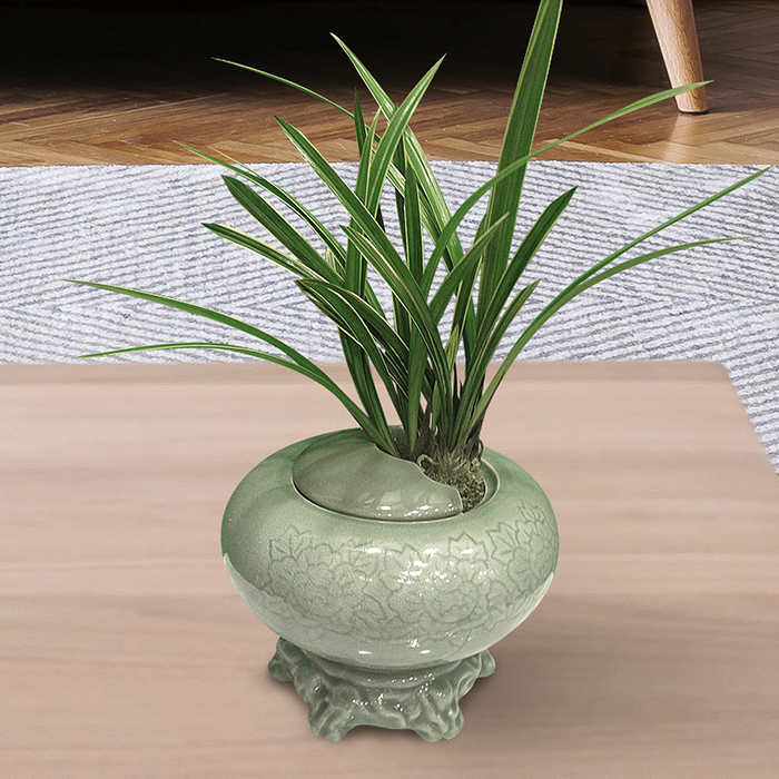 에코플라워 동양란 (황룡관) 전국당일배송 사진전송 승진 영전 인사이동 진급 취임 개업 꽃배달 g-0040, 1개 144,000원