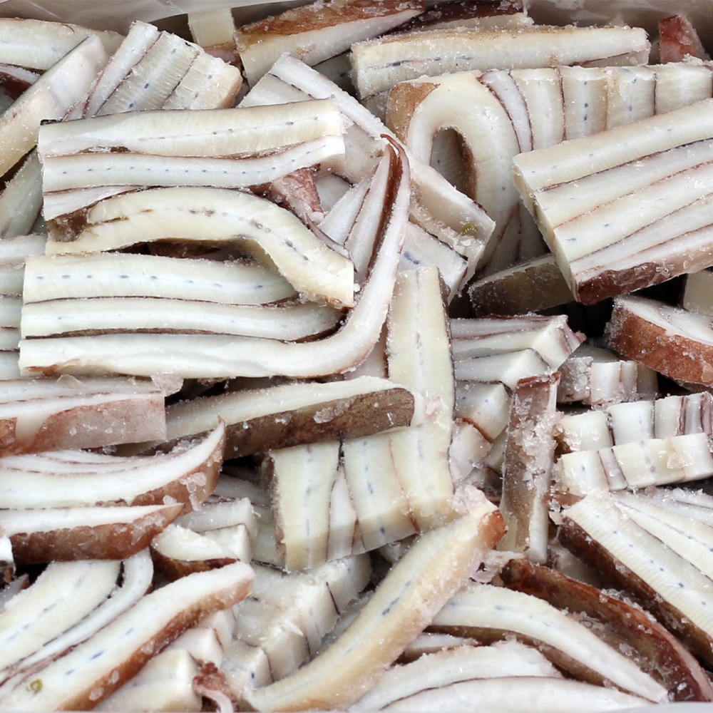 바다받아 냉동 무라사키 대왕오징어 귀채 29,800원