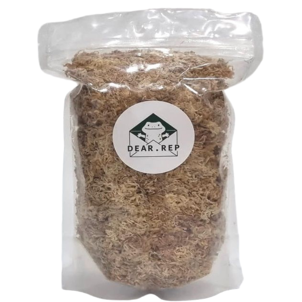 최고급 뉴질랜드산수태 4A 크레스티드게코 도마뱀산란 습식은신처, 1개, 20g 4,000원