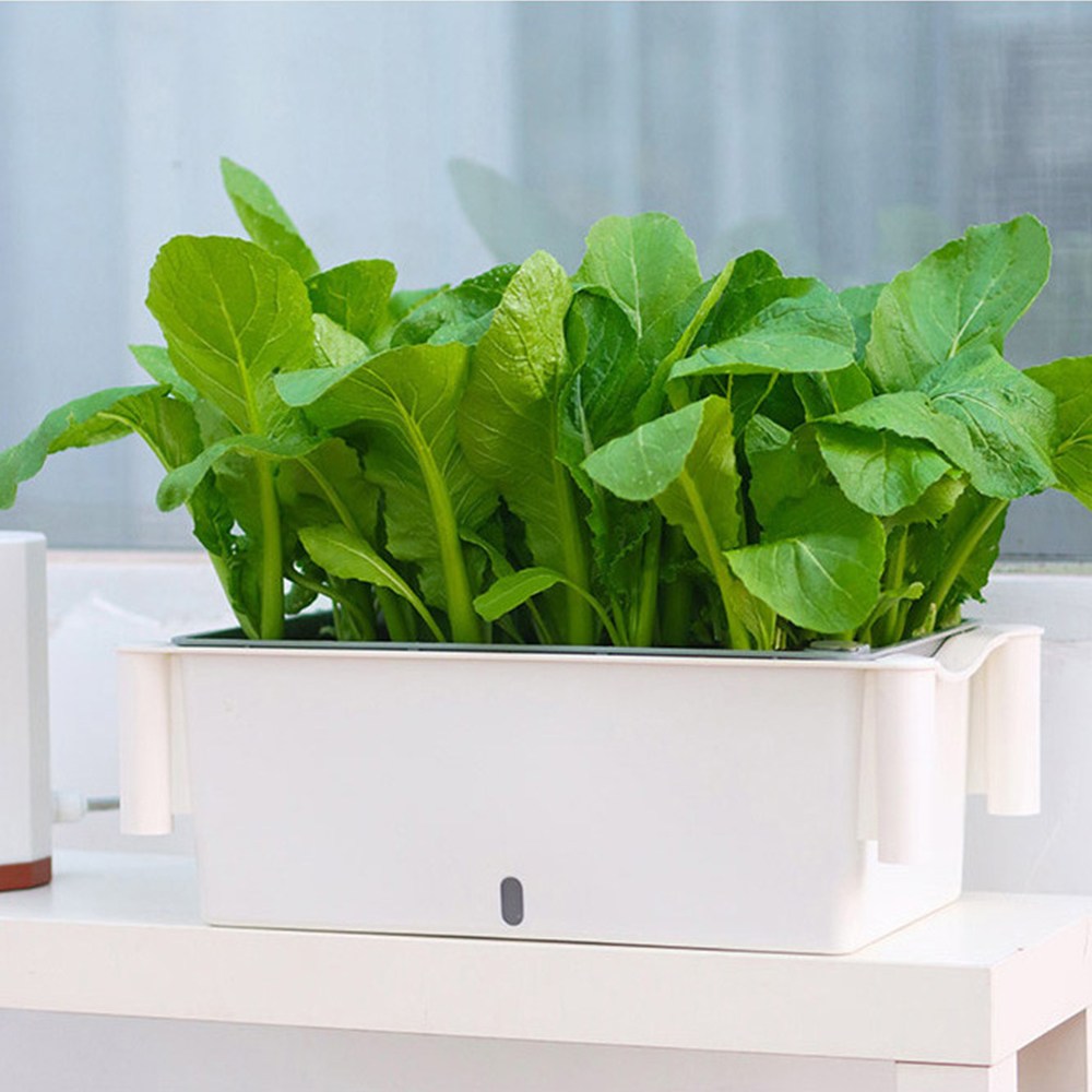 가정용 스마트팜 베란다 텃밭 상추 야채 키우기 수경화분 2단, 3단 36,900원
