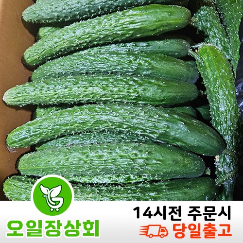 ( 오일장상회 )국내산 가시오이 못난이오이 상등급10kg 29,500원