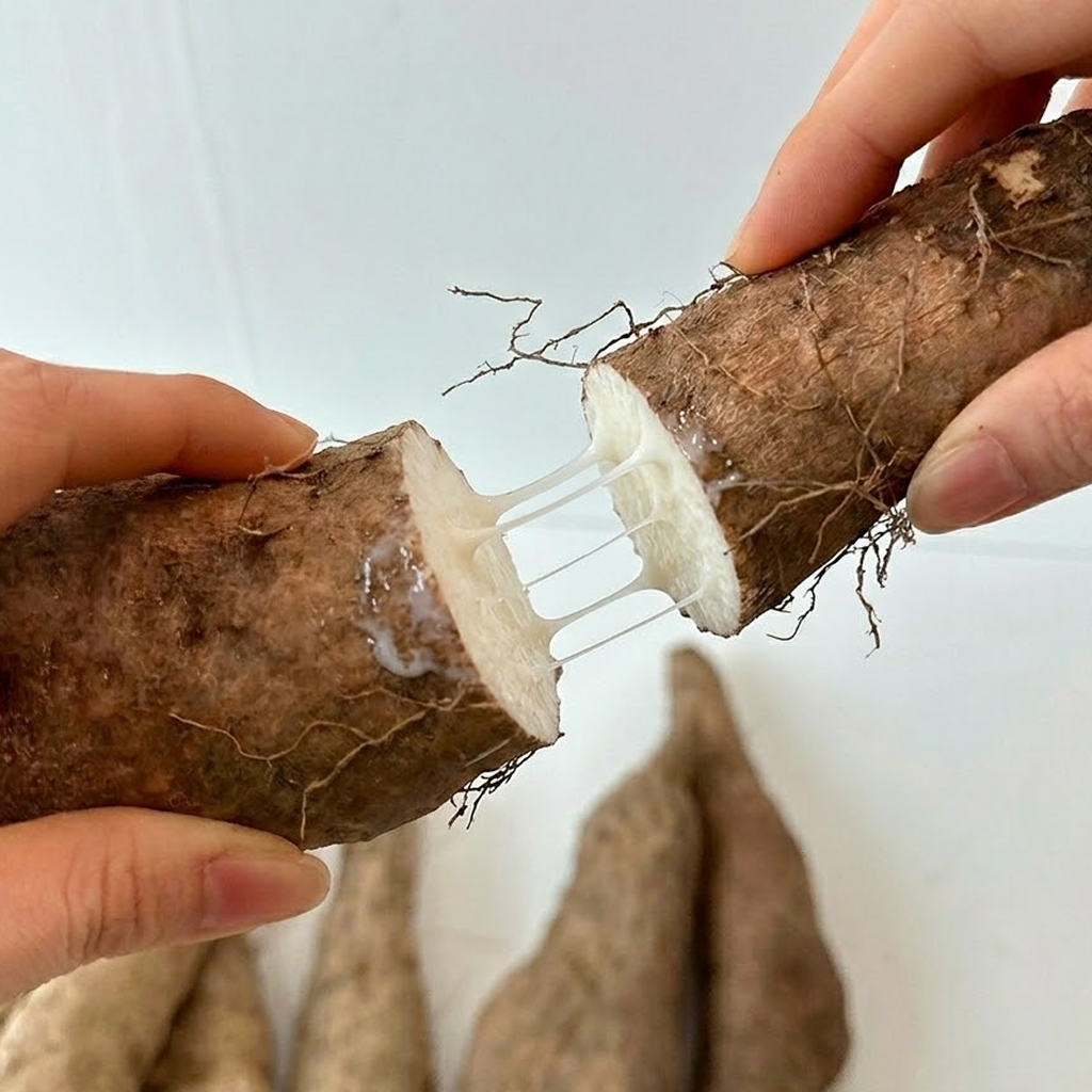 [오늘특가] 실속 국내산 안동참마 25,000원