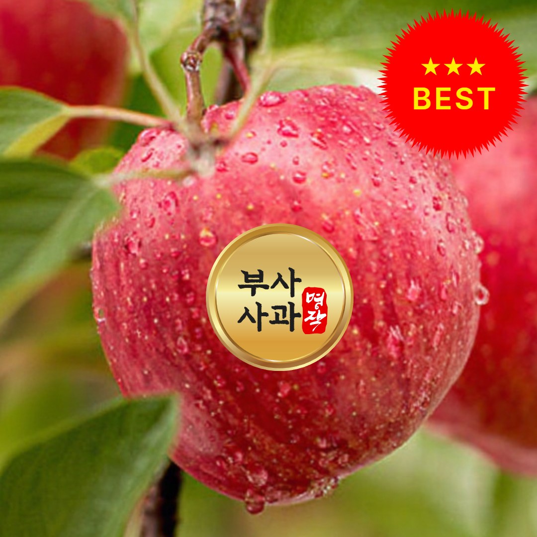 [꿀사과 초특가] 국내산 사과 고당도 부사사과, 1박스, 꿀사과 부사 사과 10kg-(중과) 70,900원