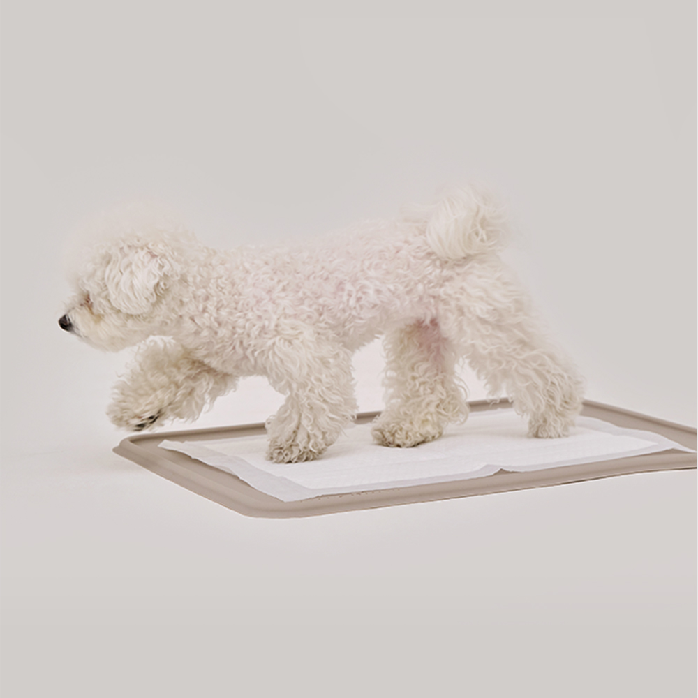 [본사직영/당일출고] 강집사 실리콘 날개 배변매트 논슬립 화장실 39,800원