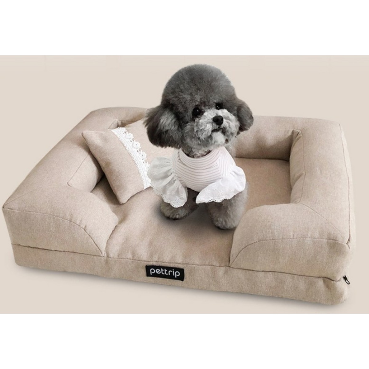 리치독스 프리미엄 사각 강아지방석, 1개, 단일사이즈 45,000원