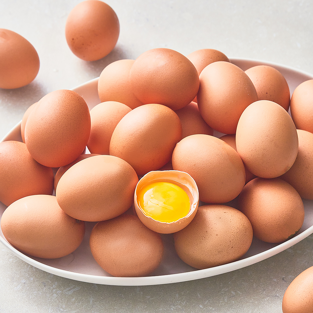 [로켓프레시] 농협 동물복지 인증 유정란 1.56kg 12,990원