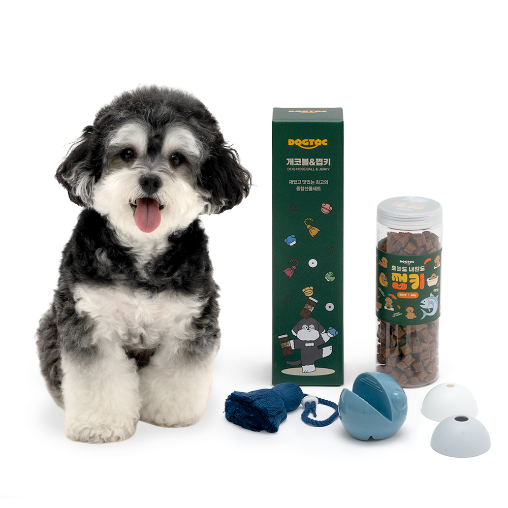 독톡 강아지 선물세트 장난감 간식 노즈워크 공 터그놀이 국내산 져키 27,500원