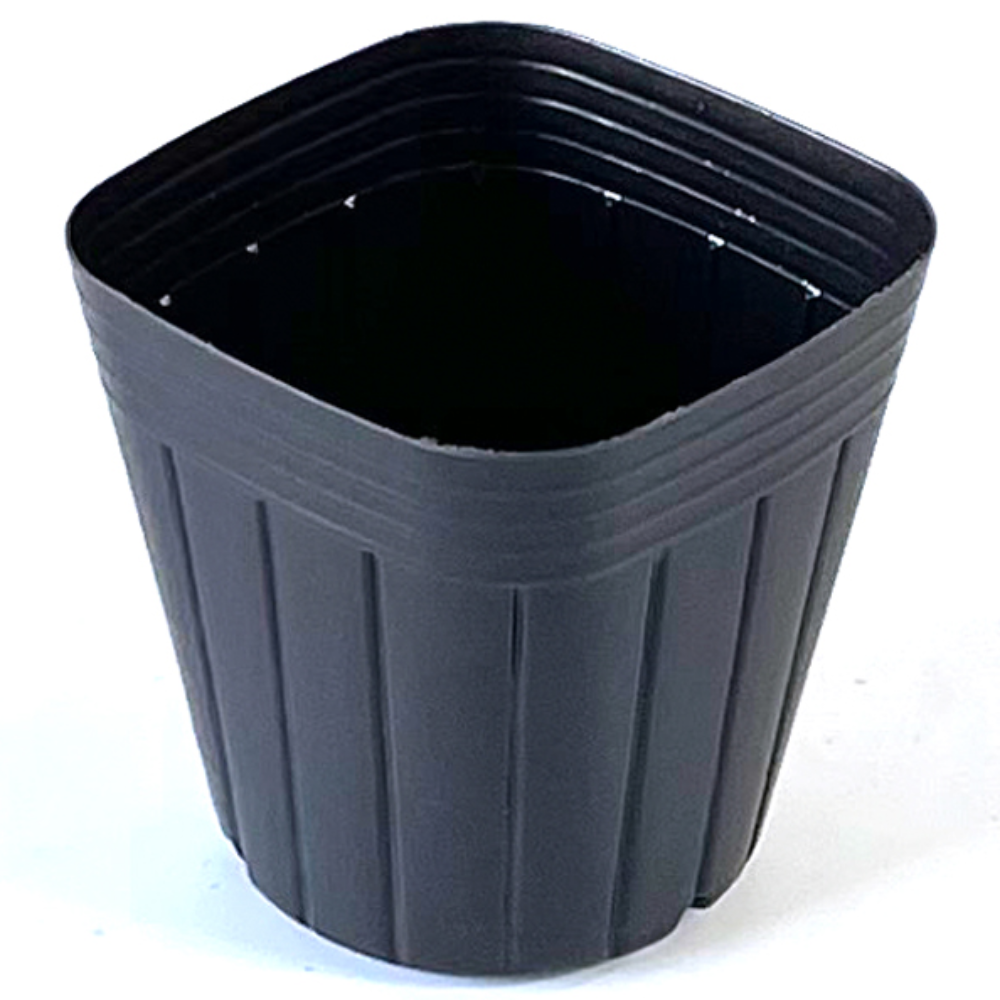 사각비닐포트 2치반 4000개 플라스틱화분 모종 분갈이 162,000원