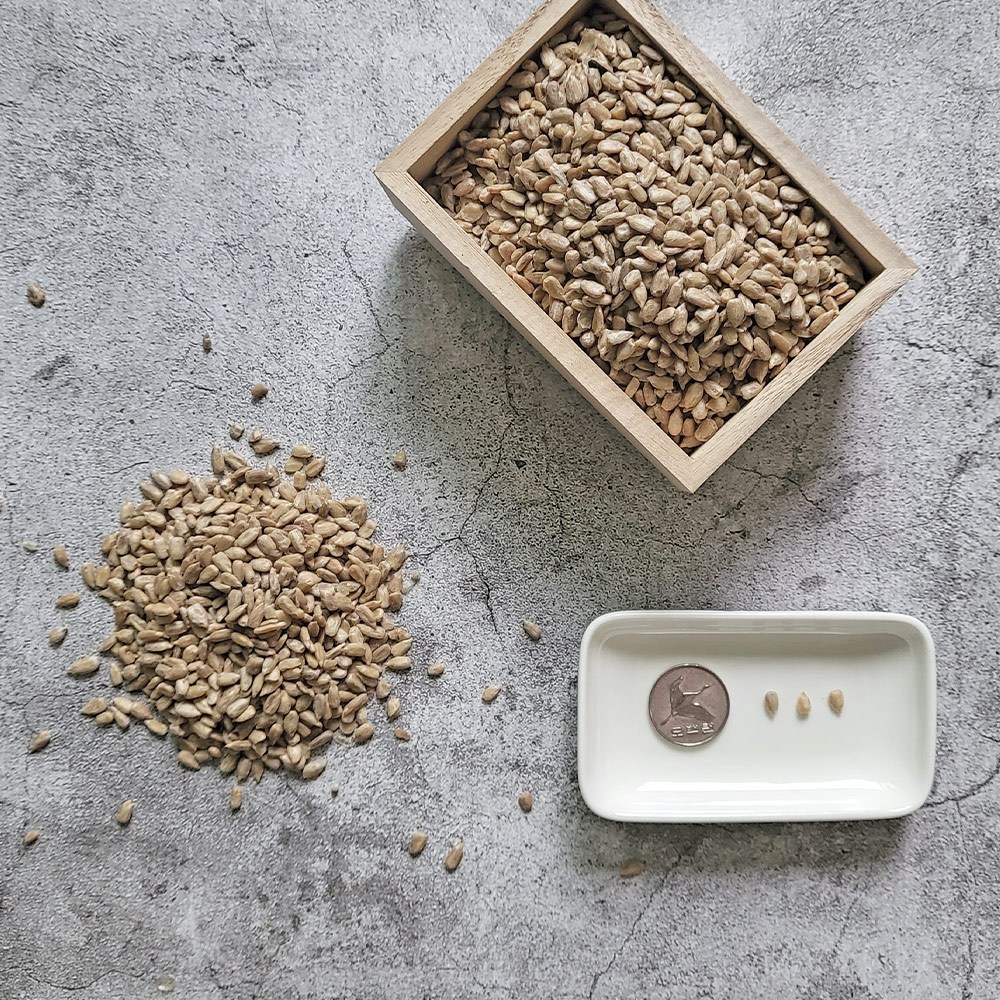 우리바다자연식품 해바라기씨 500g, 1개 6,500원