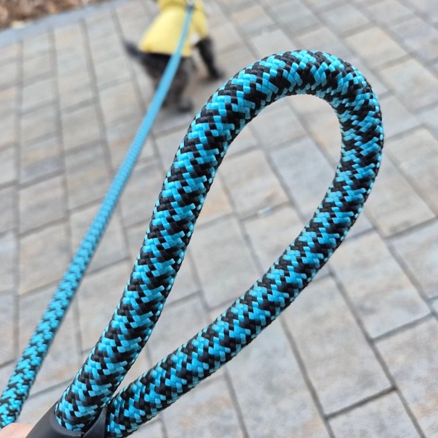 제이제이펫 강아지 리드줄 중형견 대형견 산책줄 스트롱 로프, 파랑, 1개 15,900원