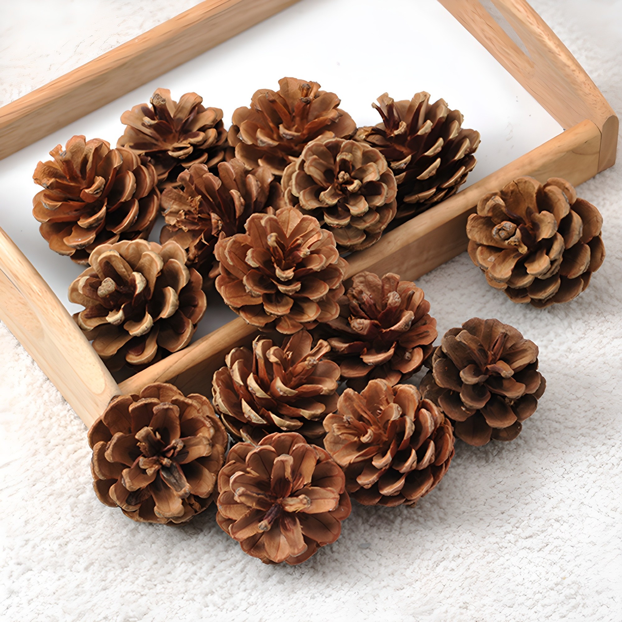 행복한세상 솔방울가습기 중 9,500원