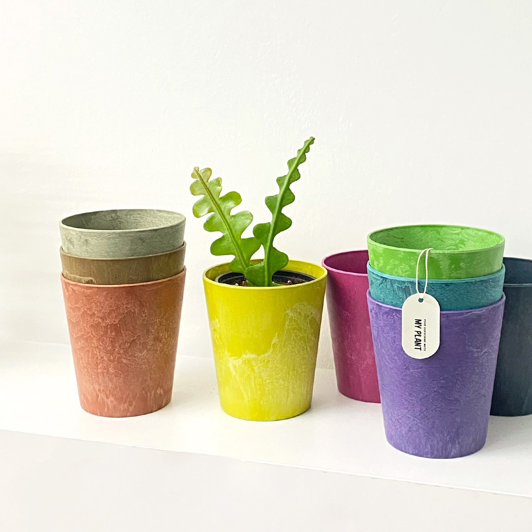 마이플랜트 그로워클레어 플라스틱 저면관수 인테리어 화분, 테라 3,700원