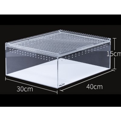 렙티주 아크릴케이스 40*30*15cm ACR02 68,000원