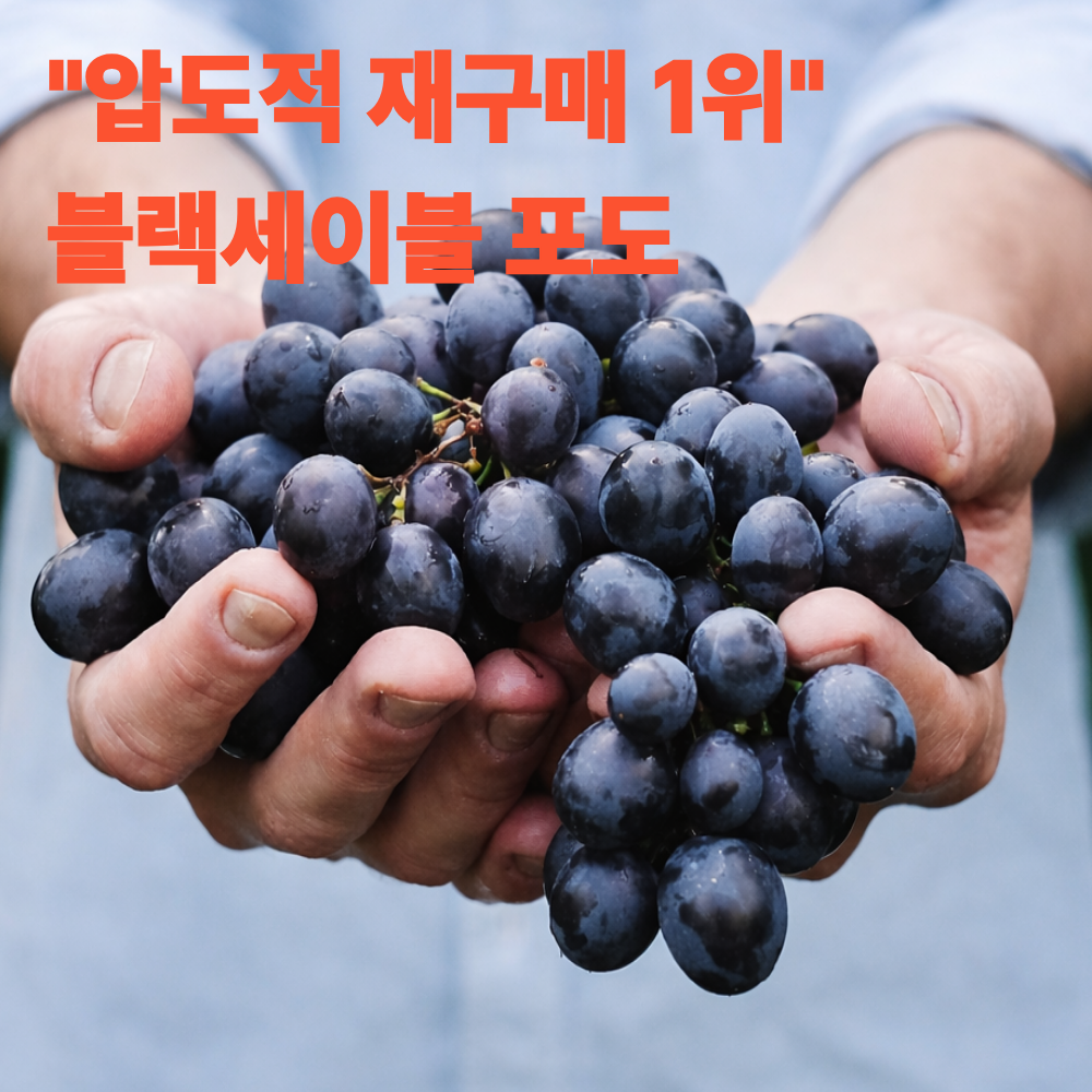 재구매1위 블랙세이블포도 산지직송 고당도 특품 51,000원