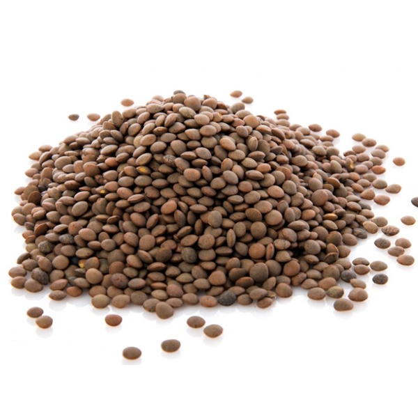 청정지역 캐나다산 렌틸콩 브라운렌틸콩 렌즈콩, 1개, 4kg 10,030원