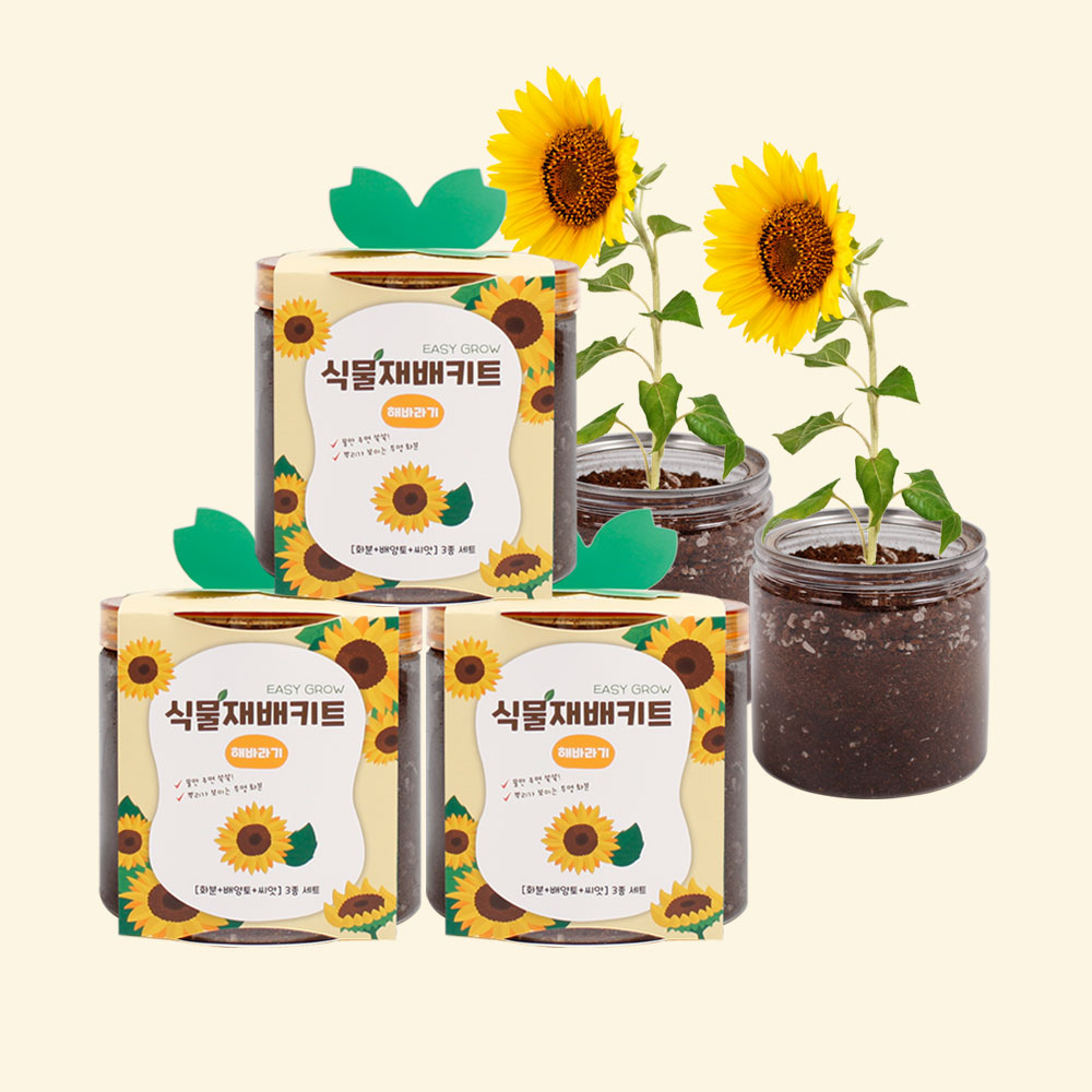 마마픽스 이지그로우 식물재배키트 3개 세트(11종) 14,800원