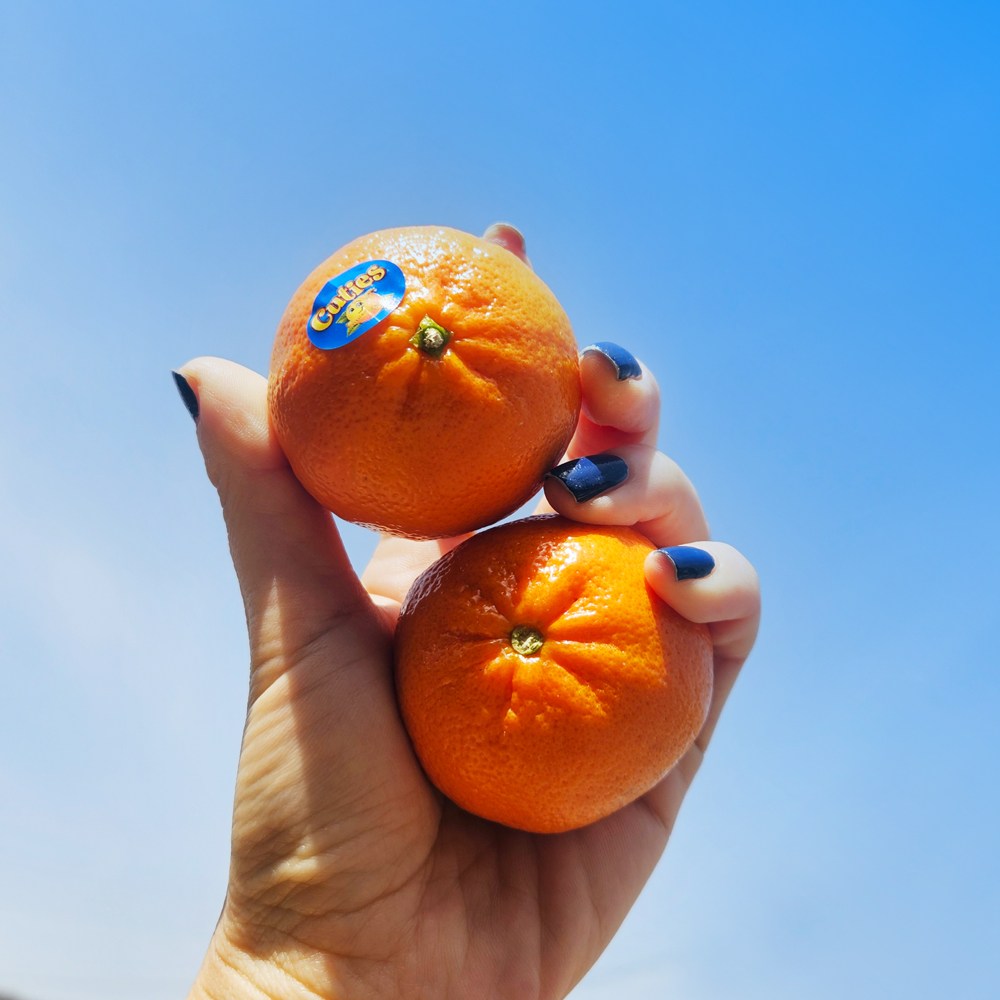 봄한정 상큼달콤 만다린 수입귤 큐티스 고당도 미국감귤 cuties 소용량 대용량, 1개, 1kg 16,800원